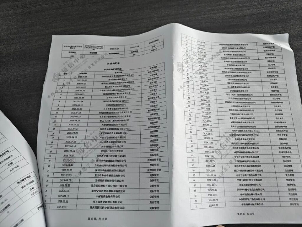 个人大数据风险报告是什么？和央行征信报告有什么区别？插图1